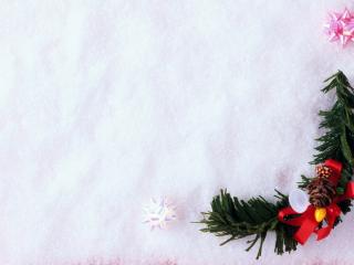 обои Веточка елочки с бантиком и шишкой на снегу фото