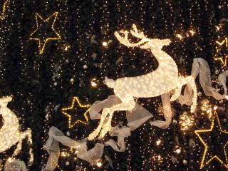 обои Большая новогодняя елка с красивыми зажженными оленями звездами и гирляндой фото