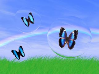 обои Бабочки в мыльных пузырях фото