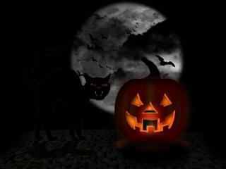 обои Тыква-фанарь с чёрным котом во мраке фото