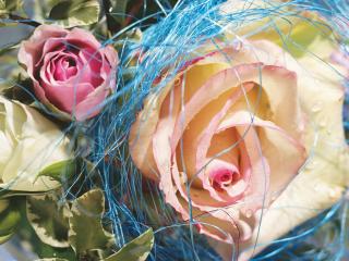 обои Букет из трех роз, украшенный голубыми нитями фото