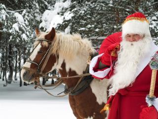 обои Дед мороз с конем фото