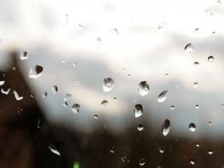 обои Капли на стекле осенний дождь фото