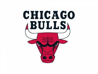 обои Chicago Bulls фото