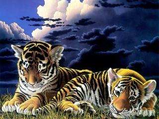 обои Два очаровательных тигренка фото
