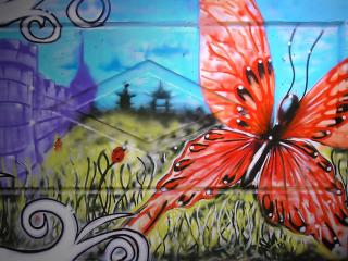 обои Граффити красивая бабочка фото