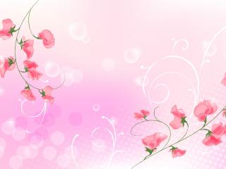 обои Розовые цветы на тонких ветках фото