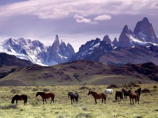 обои Анды, Патагония, Аргентина фото