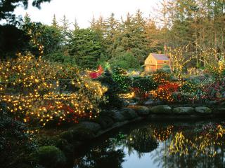 обои Сад украшен разнообразными гирляндами фото