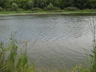 обои Река Хопер летом фото