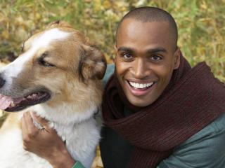 обои Чёрный друг и его верный пёс фото