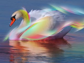 обои Радужный лебедь на озере фото