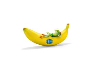 обои Лягушка отрывается на банане фото