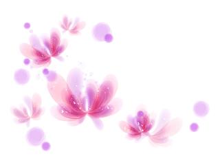 обои Розово-фиолетовые бабочки фото