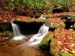 обои Маленький водопад в осеннем лесу фото