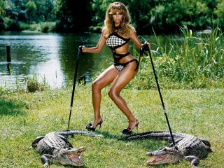 обои Beyonce Knowles и крокодильчики фото