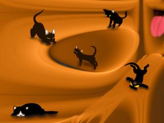 обои Пять черных кошек фото