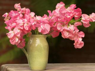 обои для рабочего стола: Нежно розовые цветы в зеленой вазе