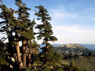 обои Вид на горы с лесного холма фото