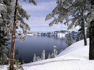 обои Зимние ели у озера на фоне серого неба фото