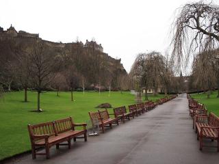 обои Пустые скамейки в парке фото