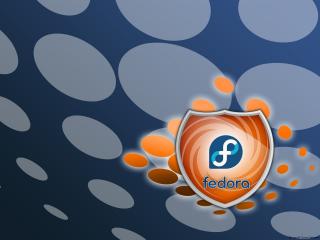 обои Fedora shield фото