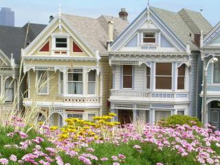 обои Сады цветов у разноцветных домов фото