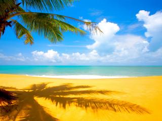 обои Солнечный пляж с жёлтып песком фото