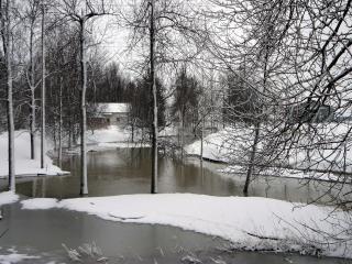 обои Зимний ручей в парке фото