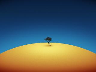 обои дерево в пустыне фото