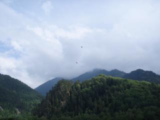 обои Орлы в облаках над горами фото