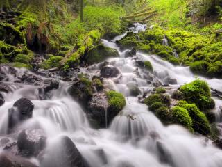обои Орегон, ущелье реки Колумбии, Fairy Falls фото