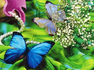 обои Разноцветные бабочки,на разных цветах фото