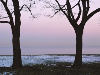 обои для рабочего стола: Три дерева,одиноко стоящие на берегу моря