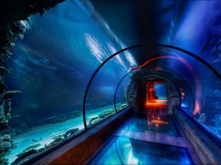 обои Тоннель в подводном мире фото