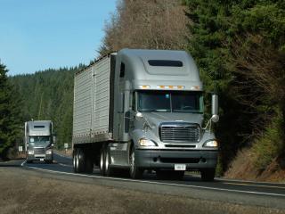 обои Freightliner грузовик фото