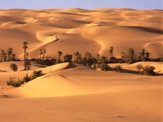 обои Оазис пустыни,   Ливия фото