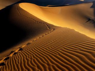 обои Следы,   пустыня Намиб,   Намибия,   Африка фото