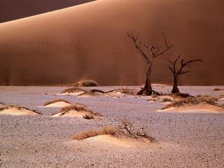 обои Песочный ландшафт,   пустыня Намиб,   Африка фото