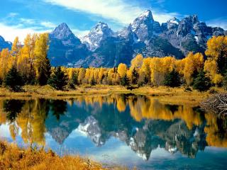 обои Осеннее Великолепие,   Великий Национальный парк Teton,   Wyom фото