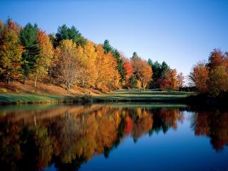 обои Осенние Размышления,   Вермонт фото