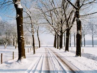 обои Зимняя дорога фото