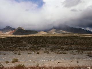 обои Пустынный туман фото