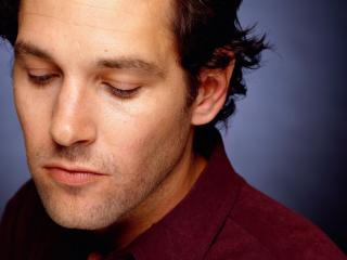 обои Paul Rudd фото