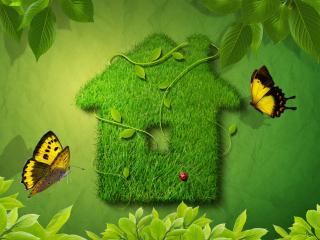 обои Зеленый домик для бабочек фото