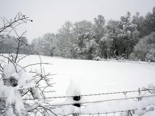 обои Зимняя полянка за колючей проволокой фото