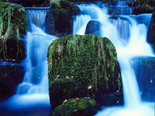 обои Зеленые насаждения среди водопада фото