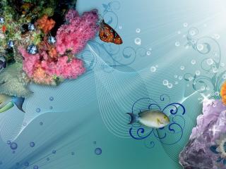 обои Рыбки кораллы камни (wide scr) фото