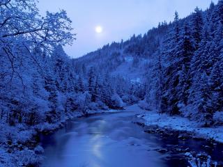 обои Замёрзшая река при свете луны фото
