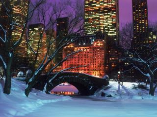 обои Центральный парк Нью-Йорка зимой фото
